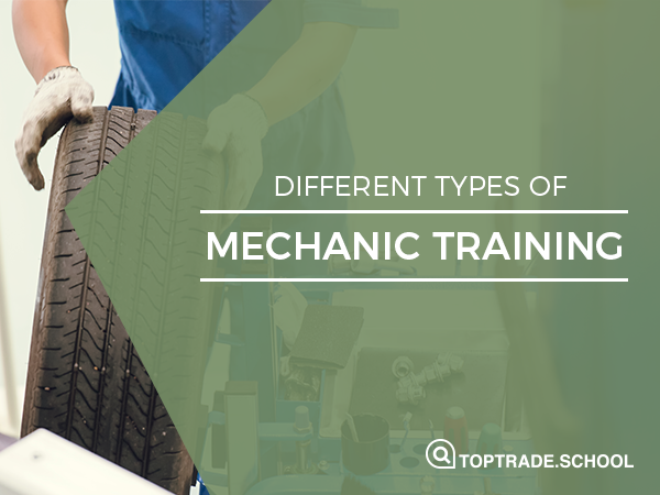 Different trade school options