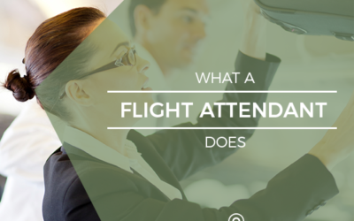 What Does a Flight Attendant Do?