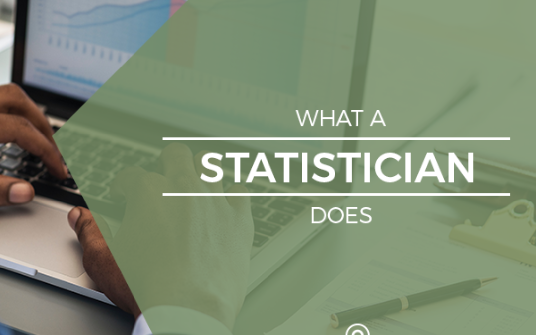 What a Statistician Does
